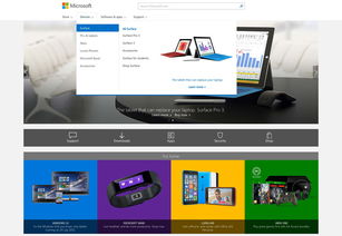 新聞 網(wǎng)博思創(chuàng) 北京網(wǎng)站設(shè)計