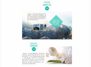 阿童木 企業(yè)網(wǎng)站 武漢網(wǎng)站建設(shè) 網(wǎng)站設(shè)計 商城開發(fā) 微信小程序開發(fā) 武漢金百瑞科技